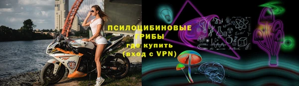 стафф Снежногорск