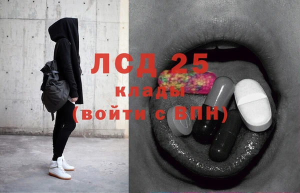 стафф Снежногорск