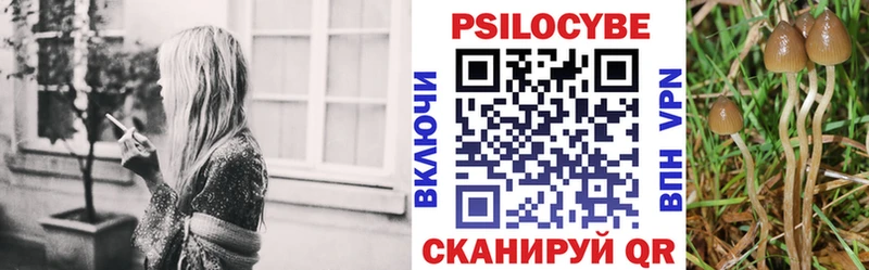 сайты даркнета состав  KRAKEN ССЫЛКА  Рузаевка  Псилоцибиновые грибы MAGIC MUSHROOMS 