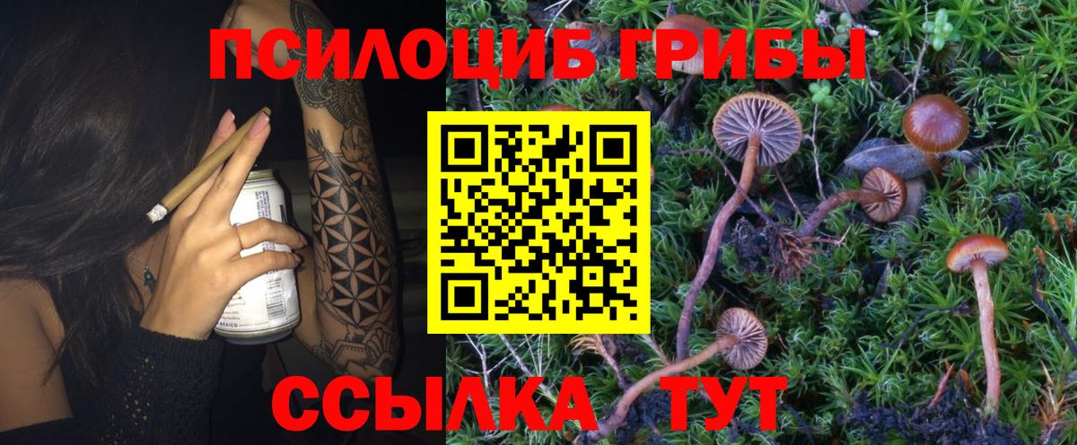 Галлюциногенные грибы Cubensis  Галлюциногенные грибы GOLDEN TEACHER  Рузаевка  Вход с VPN 